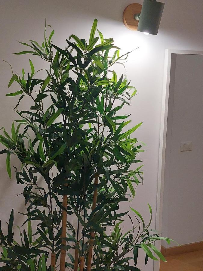 Conte Rosso Apartment Rome Buitenkant foto
